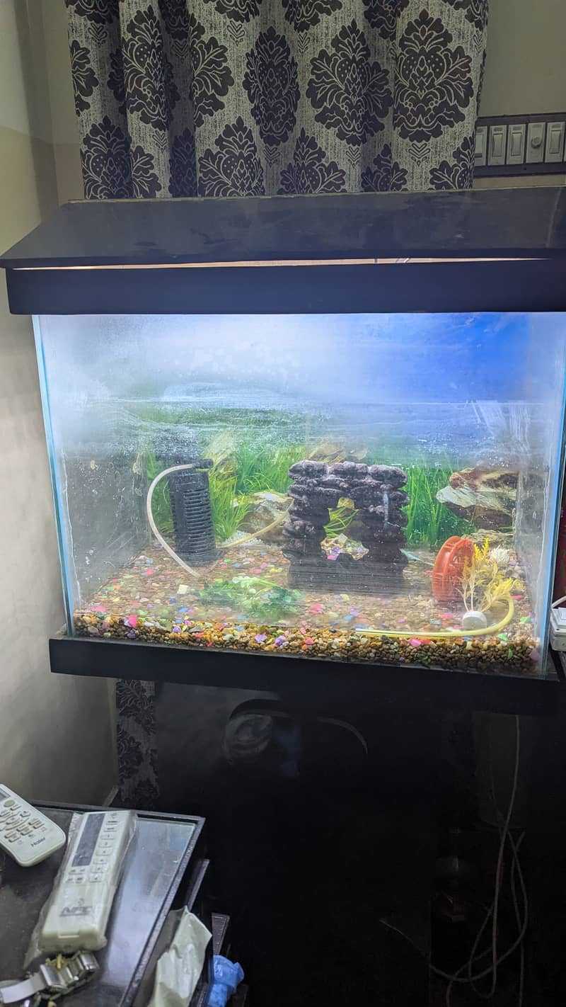 Aquarium with Full set Best Offer. . !!! 5