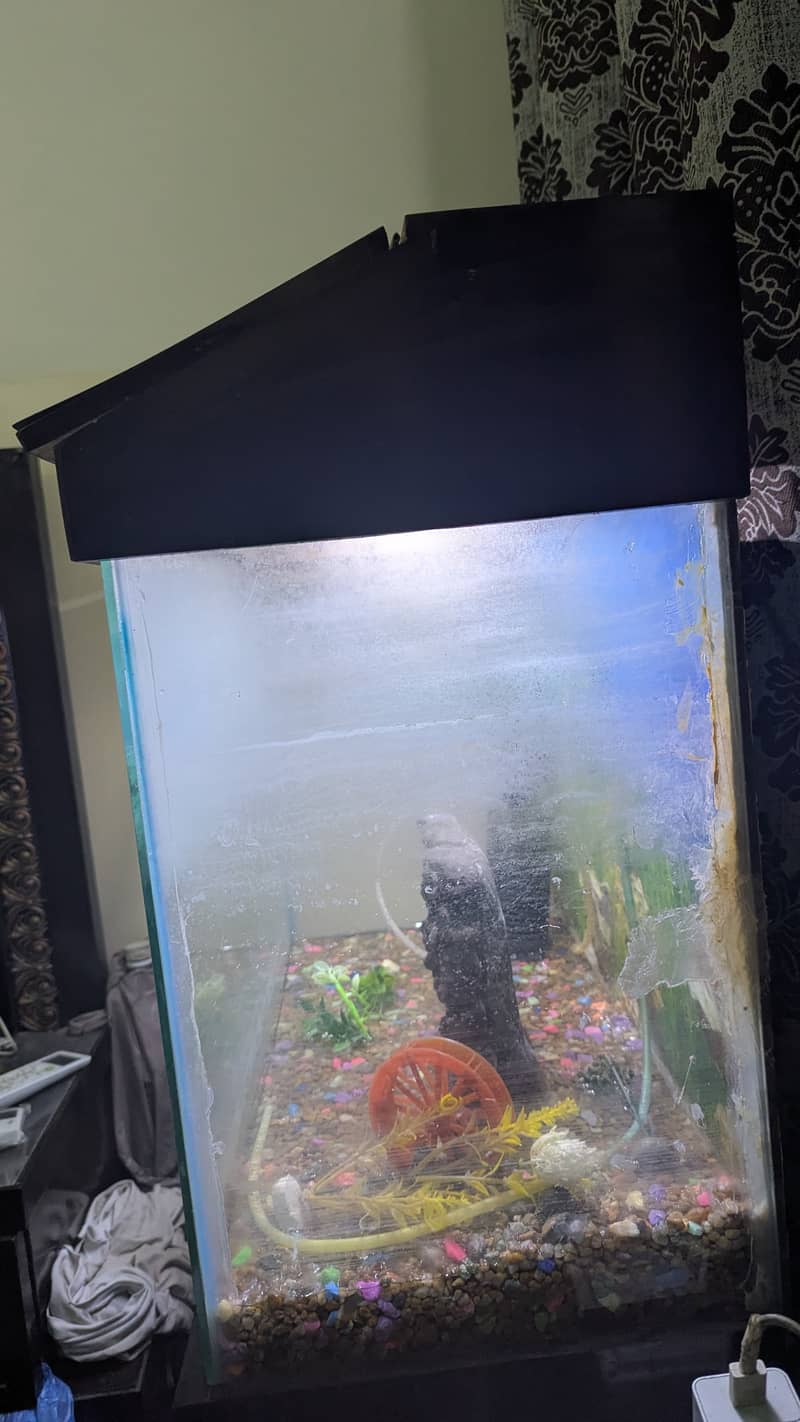 Aquarium with Full set Best Offer. . !!! 6