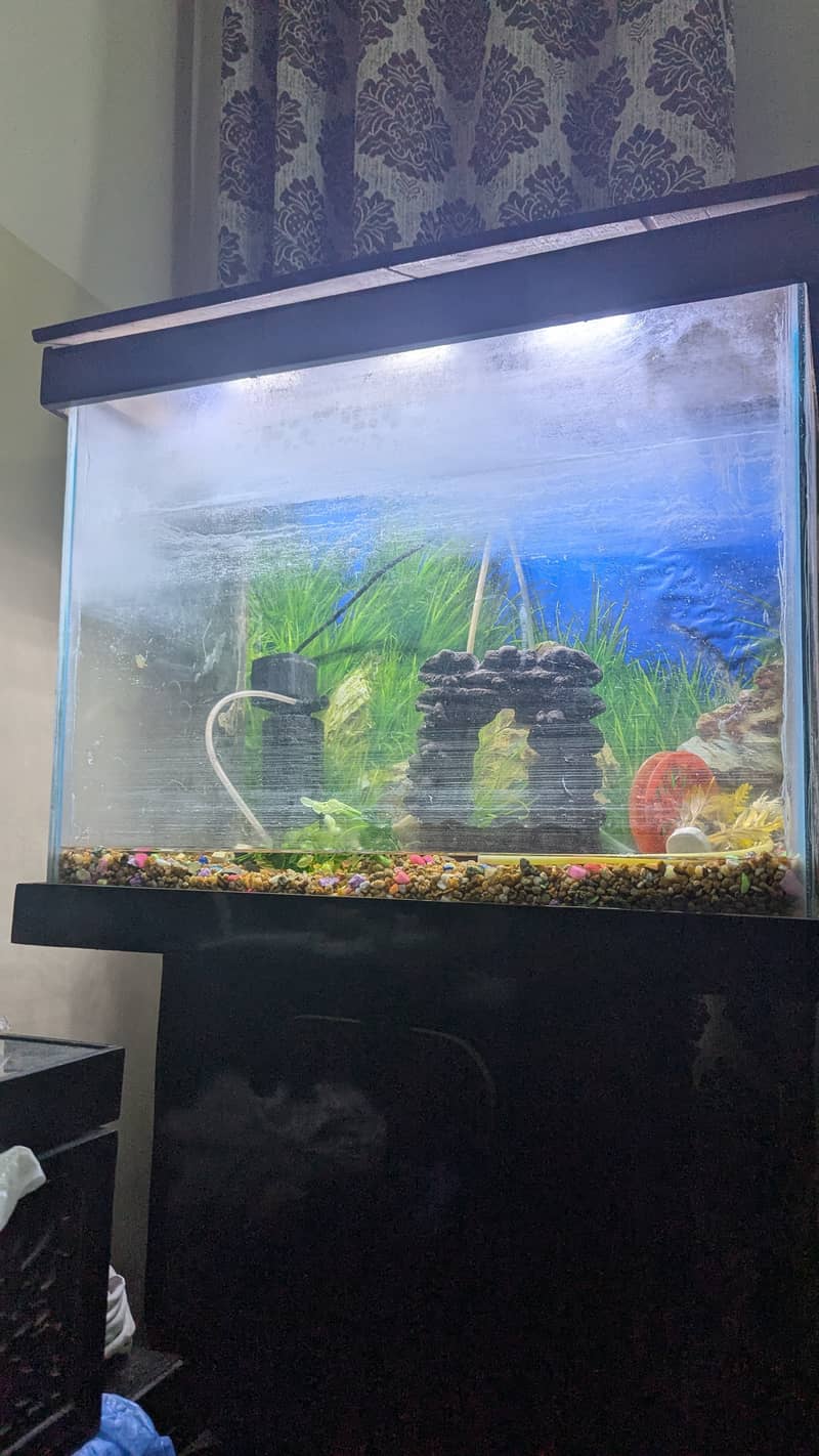 Aquarium with Full set Best Offer. . !!! 7
