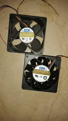 AVC