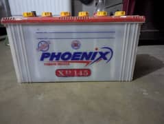 phoenix