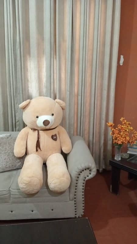 Teddy Bear Gifts/ Stuffed Toys available 1