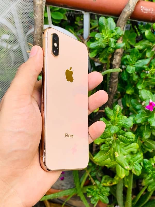 iPhone xs dual sim pta approved 0