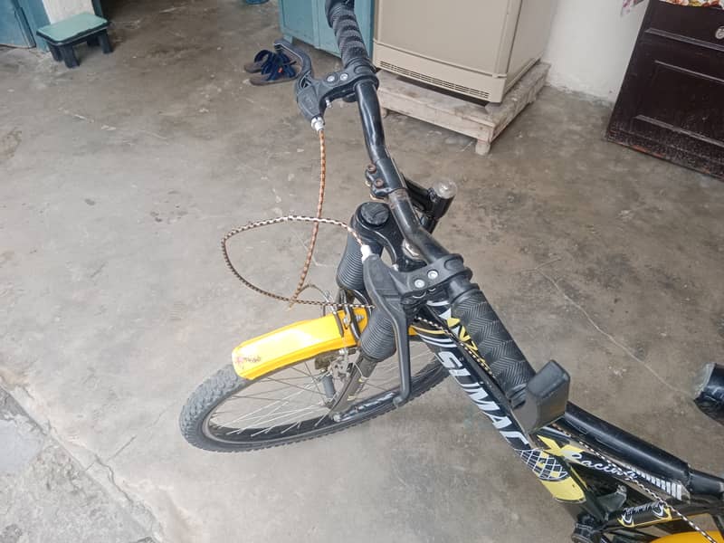 China sumac bicycle 1