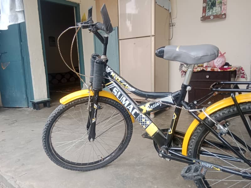 China sumac bicycle 2