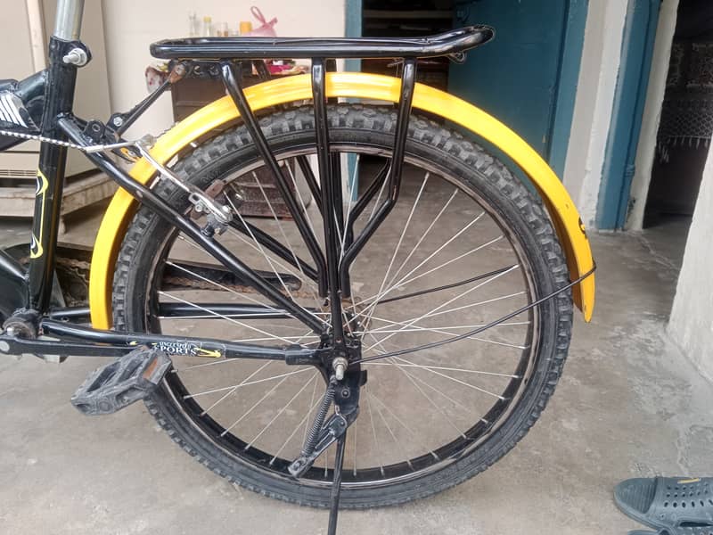 China sumac bicycle 3
