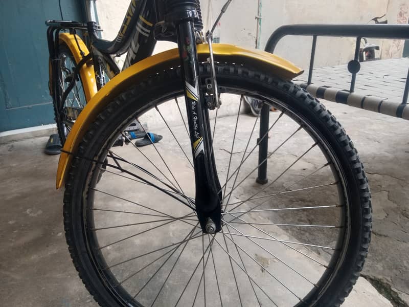 China sumac bicycle 4