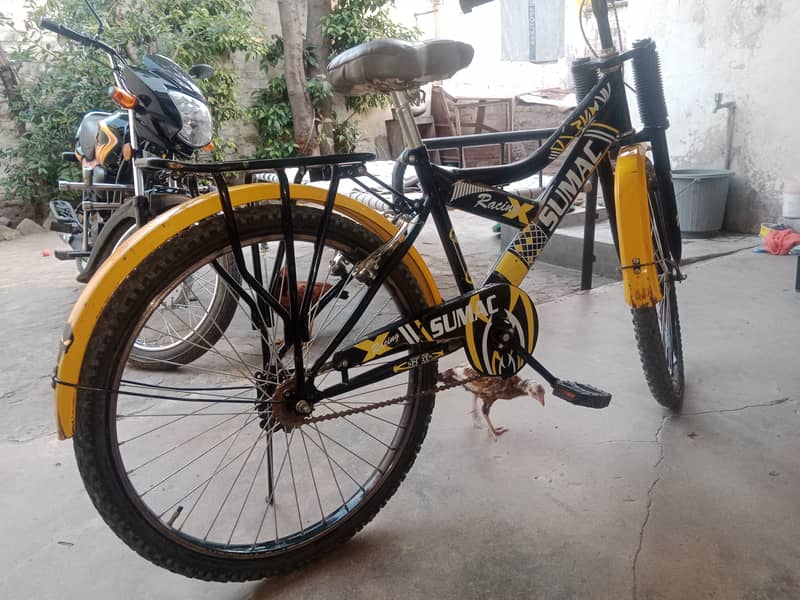 China sumac bicycle 5