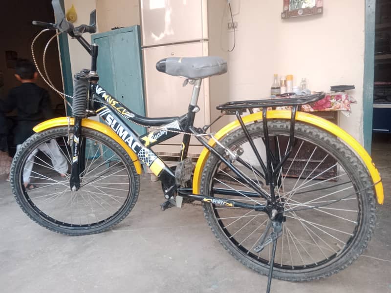 China sumac bicycle 7
