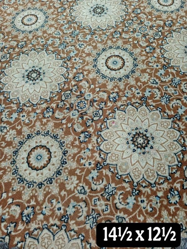 **Carpet's Available For Sale** 1