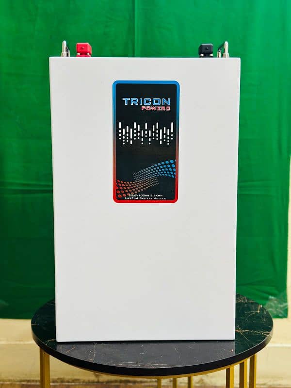 lithium battery 24v 100ah 1