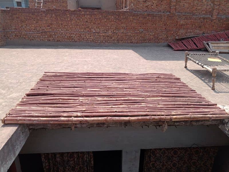 Bans wali chat for sale 0