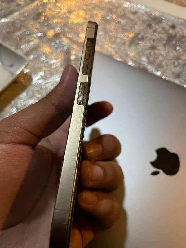 Iphone 13 pro max 3