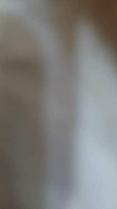 Quran