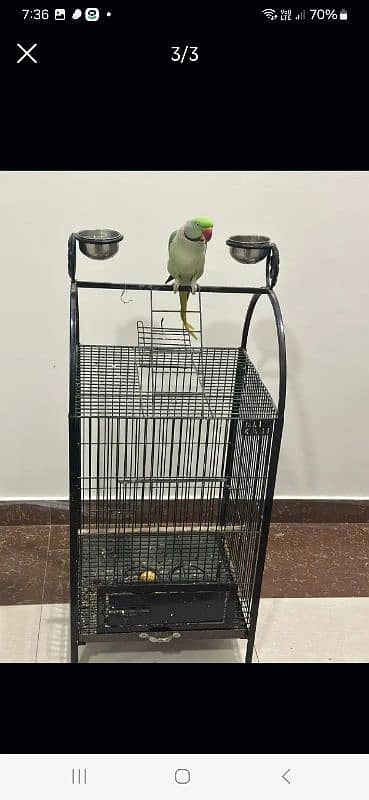 Only cage 0