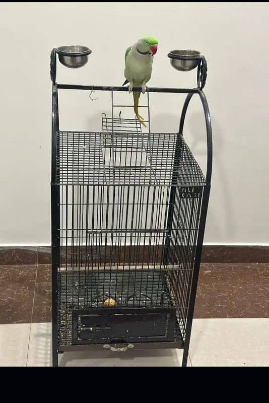 Only cage 1