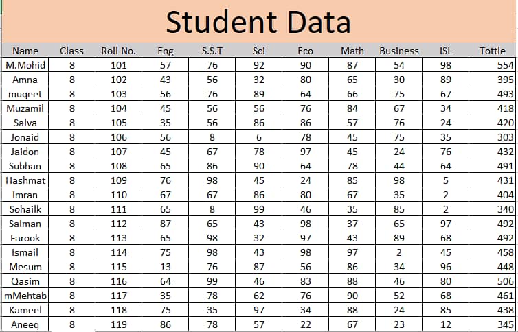 professional data entry 2