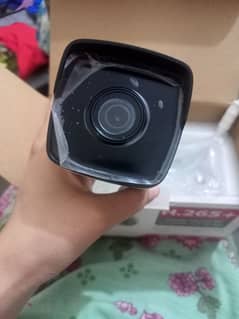 IP