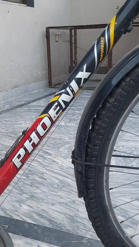 Phoenix Cycle 2