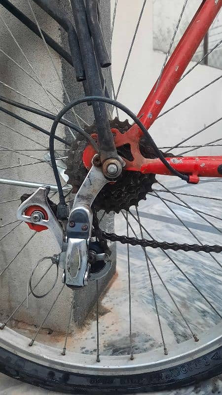 Phoenix Cycle 4