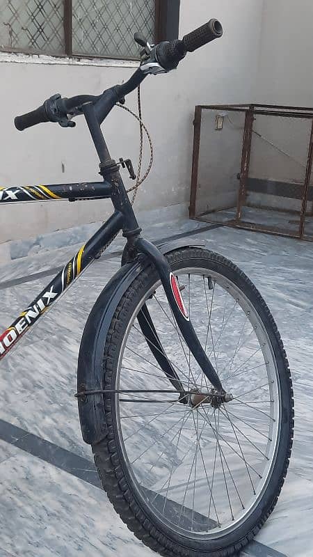 Phoenix Cycle 7