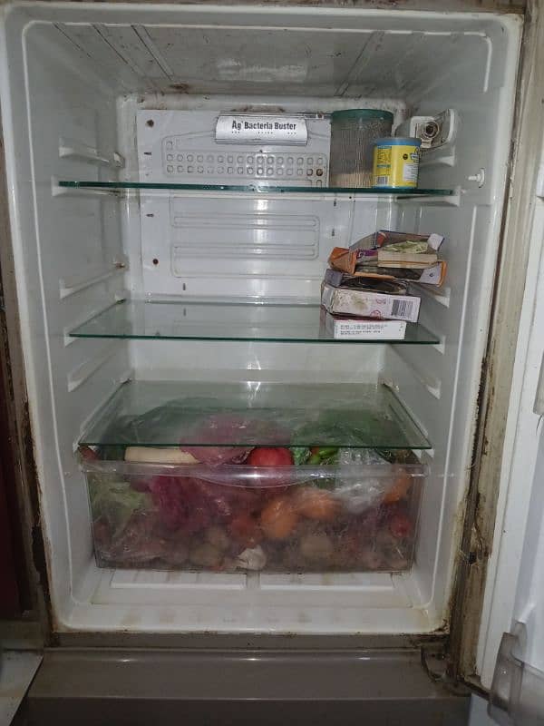 Pel Refrigerator for Sale – In Good Condition, Working perfectly!" 5