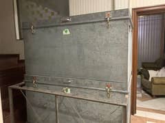 trunk/paiti