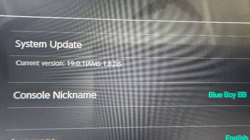 Nintendo Switch Lite with Android 15 Jailbreak128 GB 3