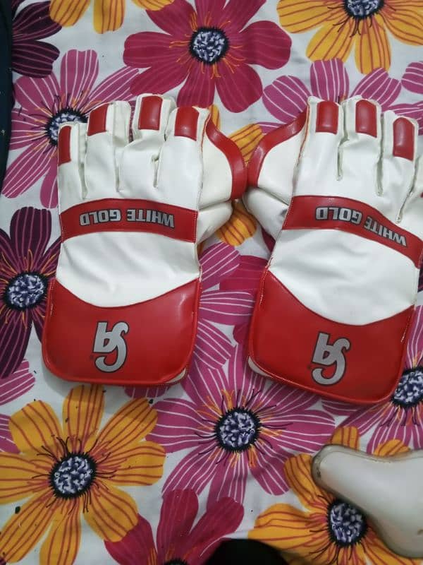 Cricket kit with zaman Khan signed bat urgent sale 3