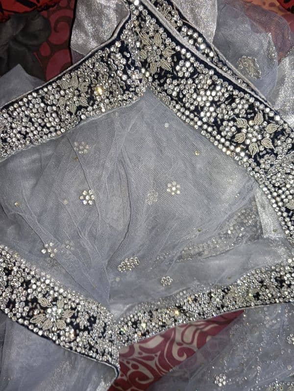 silver maxi 2