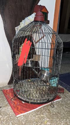 Cage