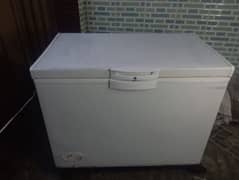 D freezer
