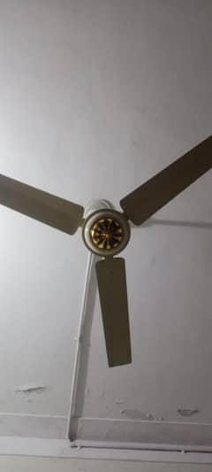 celling fan