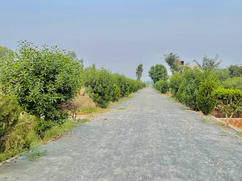 3 Marla Wide Front Plot with Registry Inteqal 4
