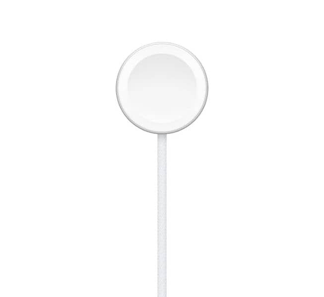 Apple Original TYPE C Magnetic Watch Charger 1