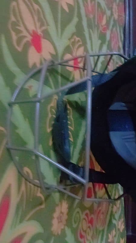 best helmet for beginners a hard ball light waited and good 1