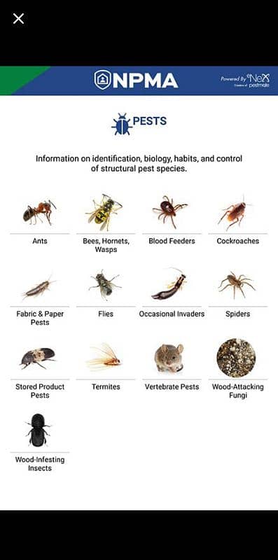 pak pest control . number . 03005117313 1