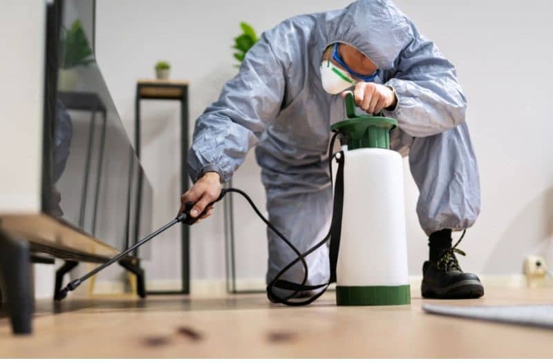 pak pest control . number . 03005117313 4
