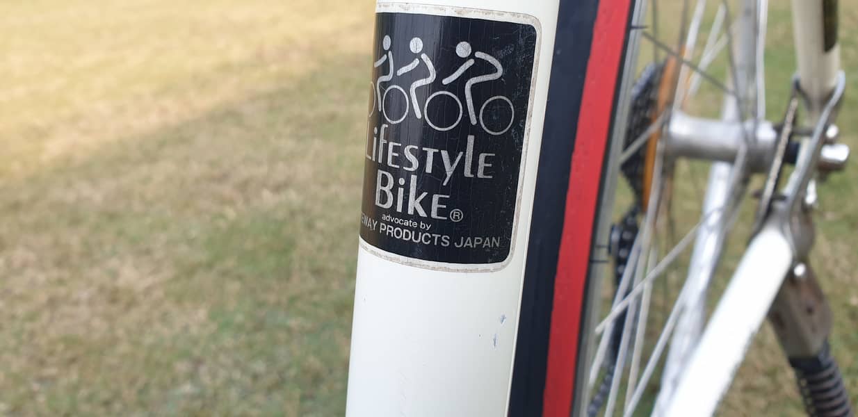 Hybrid Cycle Japanese Riteway Shepherd Japani cycle 1