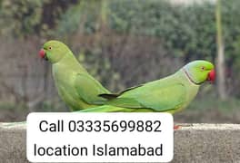 Pair