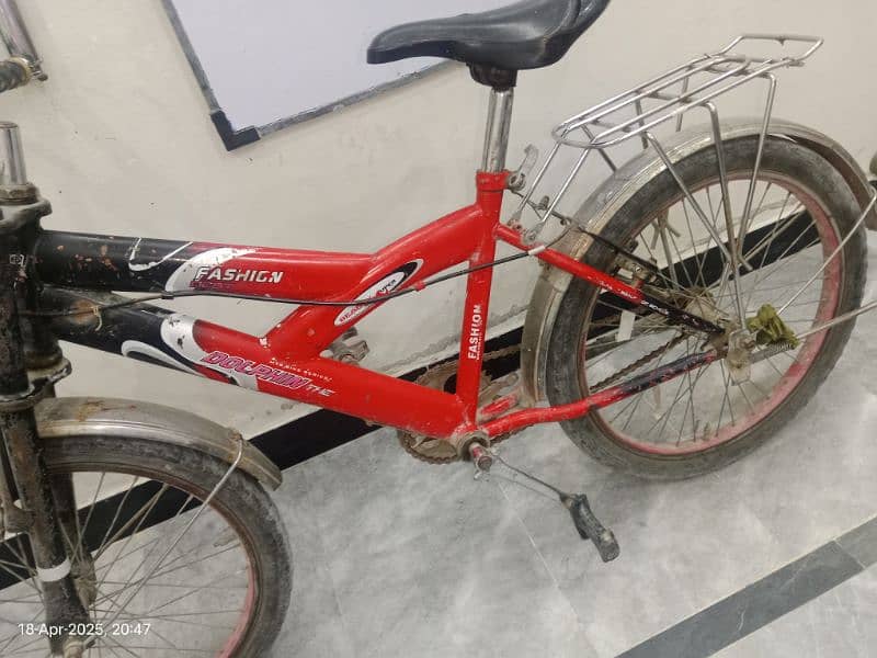 Dolphin cycle for sale 1