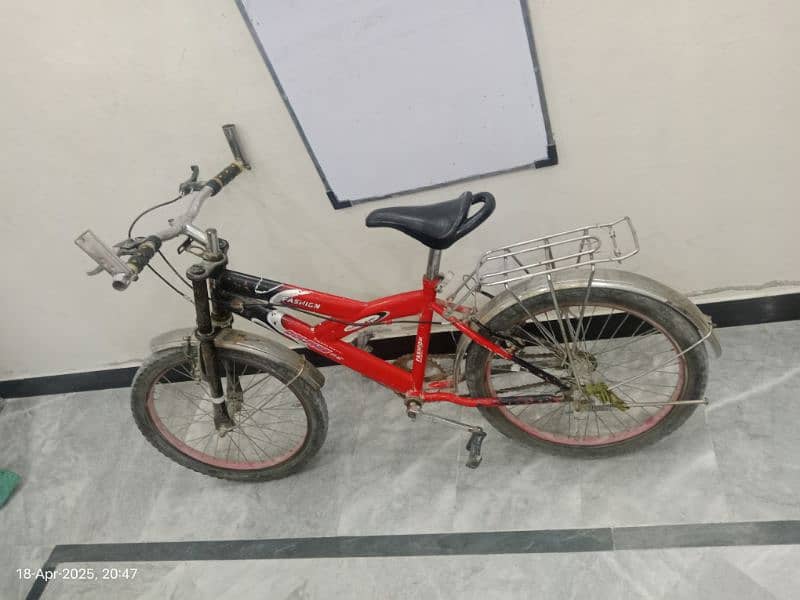 Dolphin cycle for sale 2