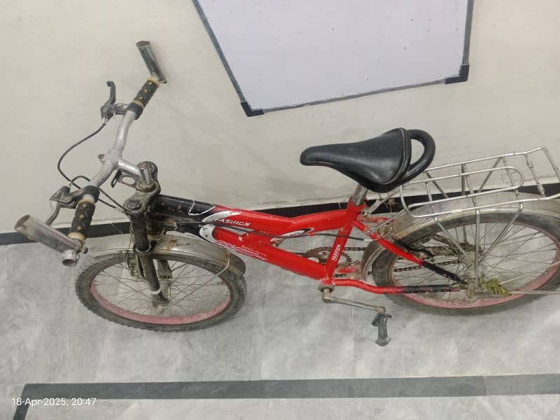 Dolphin cycle for sale 3