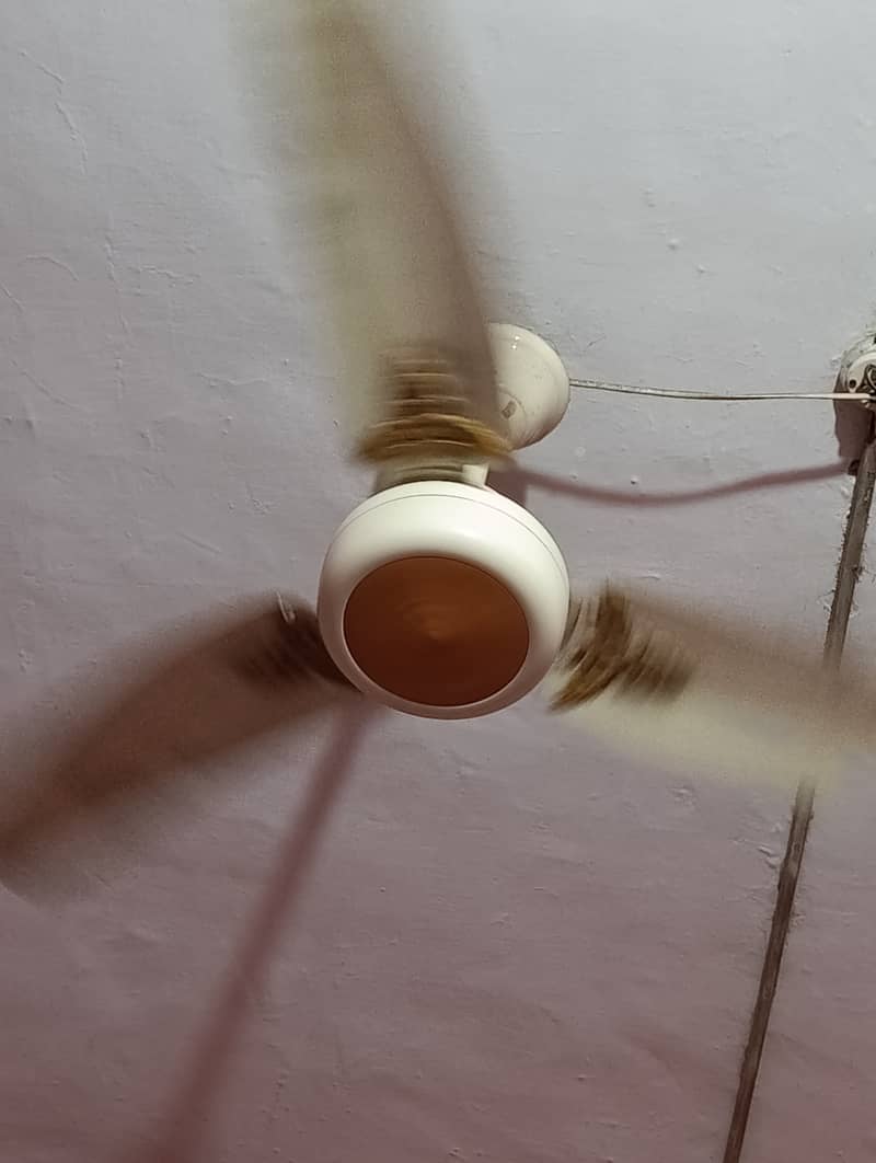 GFC Ceiling fan 1