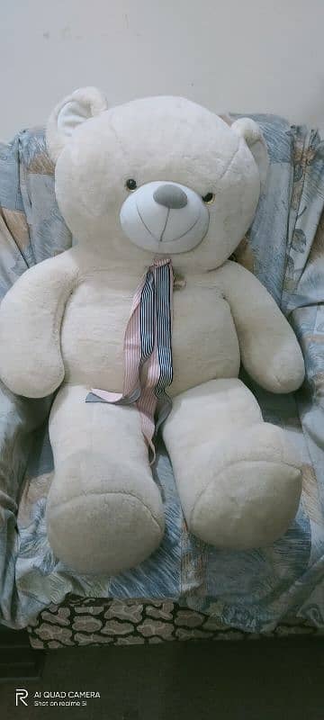 Teddy Bear 0