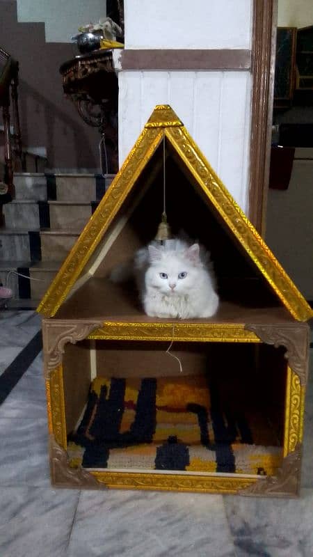 sweety 0