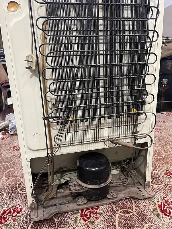 Frige for Sale 2 Door in good condition 15