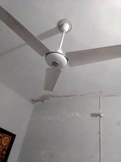 Ceiling fan