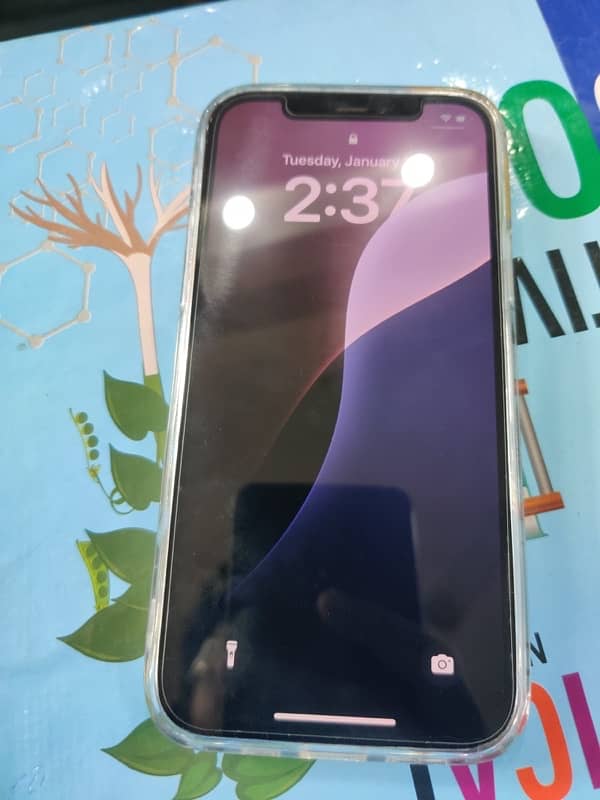 iphone 12 pro factory unlock 1