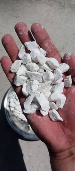 Afghan